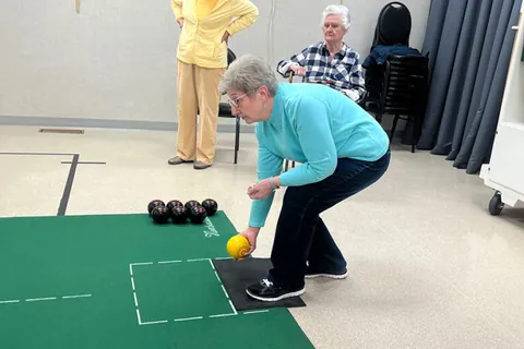Carpet Bowling