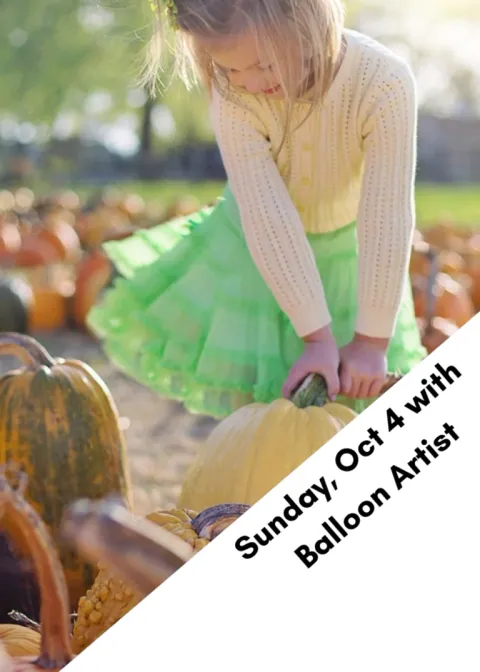 Pumpkin Patch