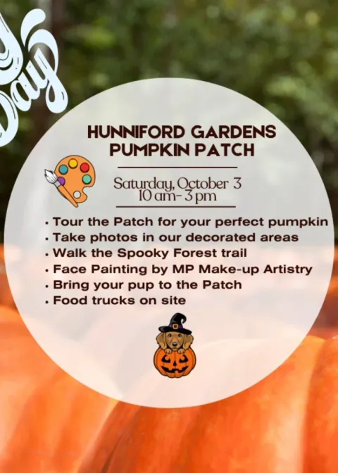 Pumpkin Patch