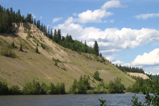 Tall pale silt cliffs, the Nechako cutbanks, rising above the Nechako River in Prince George